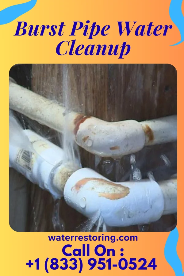 Burst Pipe Water Cleanup in Alliance, NE