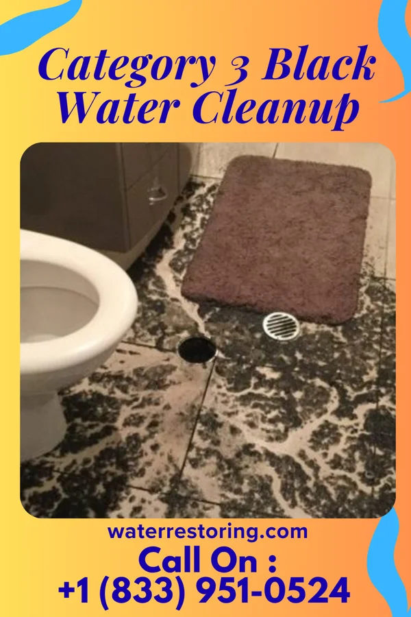 Category 3 Black Water Cleanup in Alliance, NE