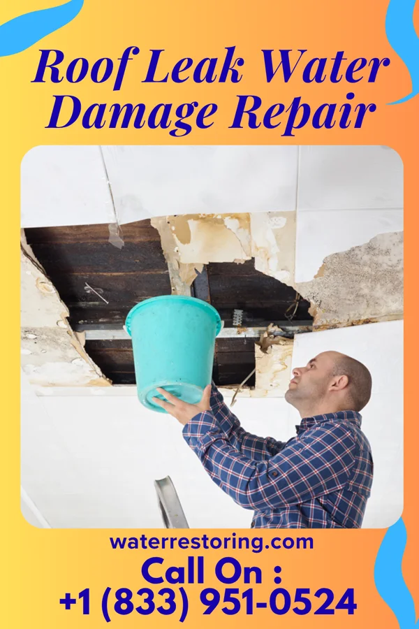 Roof Leak Water Damage Repair in Alliance, NE