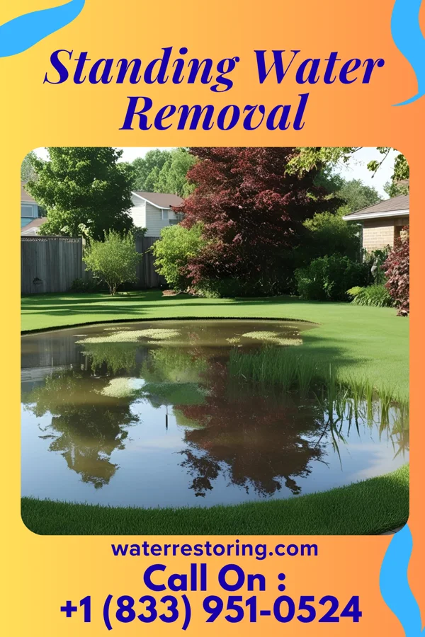 Standing Water Removal in Alliance, NE